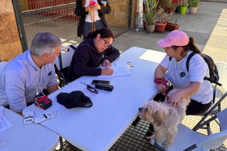 WhatsApp Image 2025-11-19 at 11.22.03 (1) (1).jpeg